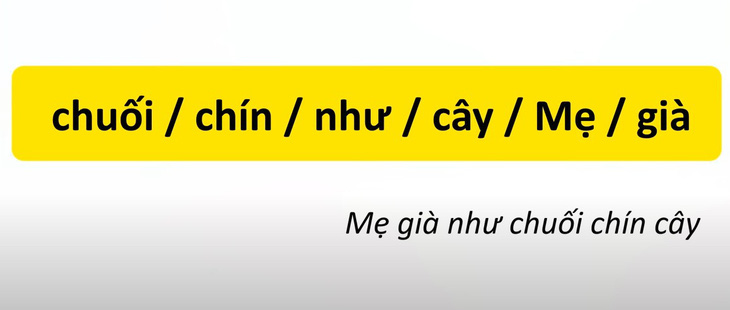 Thử tài tiếng Việt: Sắp xếp các từ sau thành câu có nghĩa (P18)- Ảnh 4.