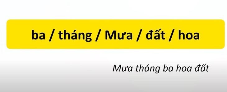 Thử tài tiếng Việt: Sắp xếp các từ sau thành câu có nghĩa (P19)- Ảnh 4.