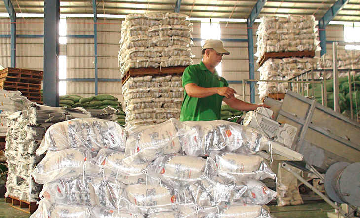 Đóng gói gạo xuất khẩu tại Công ty TNHH xuất nhập khẩu Chơn Chính (Đồng Tháp) - Ảnh: ĐẶNG TUYẾT