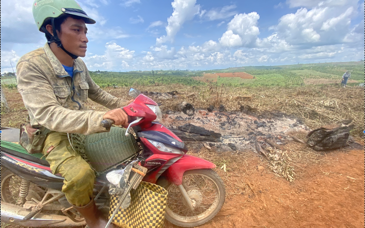 Mất hàng trăm ngàn hecta đất rừng, Đắk Lắk và Đắk Nông lên kế hoạch thu hồi - Ảnh 5.