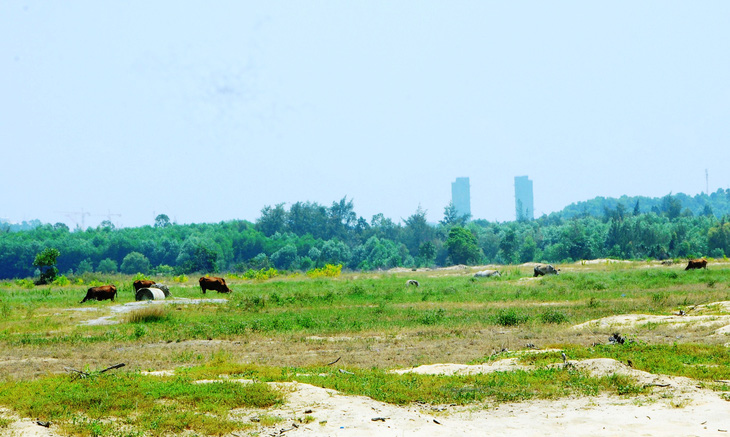 Dự án khu đô thị công nghiệp Dung Quất do Hoàng Thịnh Đạt làm chủ đầu tư, sau 8 năm vẫn là bãi đất trống - Ảnh: VPĐN