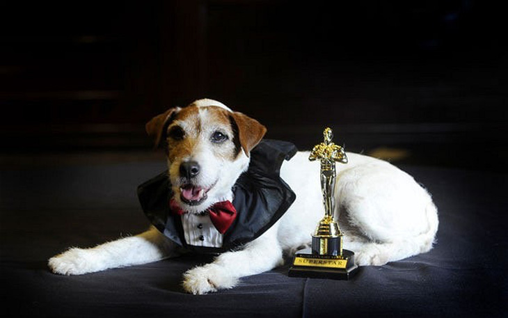 Chú chó Uggie bên giải Oscar của phim The Artist - Ảnh: The Telegragh