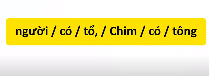 Thử tài tiếng Việt: Sắp xếp các từ sau thành câu có nghĩa (P31)- Ảnh 3.