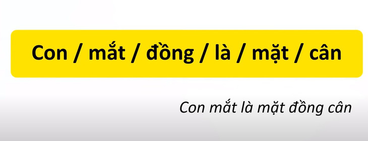 Thử tài tiếng Việt: Sắp xếp các từ sau thành câu có nghĩa (P31)- Ảnh 2.