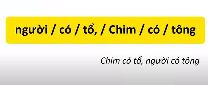 Thử tài tiếng Việt: Sắp xếp các từ sau thành câu có nghĩa (P31)- Ảnh 4.