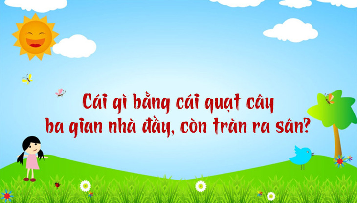 Câu đố hack não: Chim gì nặng 10kg?- Ảnh 5.