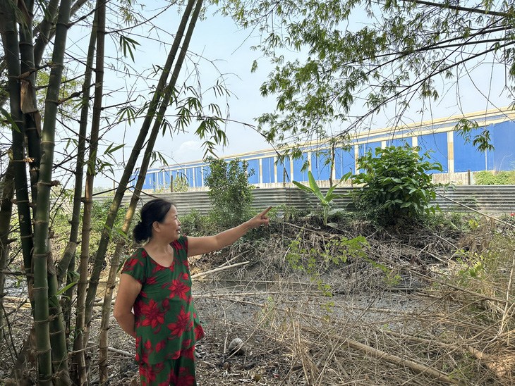 Bà Nguyễn Thị Thu Vân cho biết gia đình mong muốn nhà máy có các biện pháp hạn chế bụi thải phát tán ảnh hưởng đến sức khỏe của các thành viên trong nhà - Ảnh: ĐẶNG TUYẾT