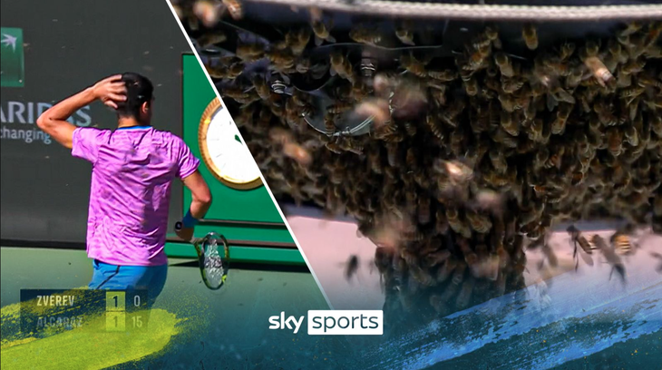 Trận đấu giữa Alcaraz và Zverev phải tạm dừng vì sự xuất hiện của bầy ong - Ảnh: SKYSPORTS