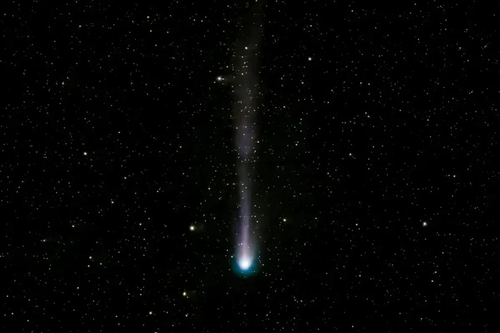 Hình ảnh sao chổi Quỷ quan sát qua kính thiên văn ngày 5-3-2024 - Ảnh: Nguồn: New Scientist