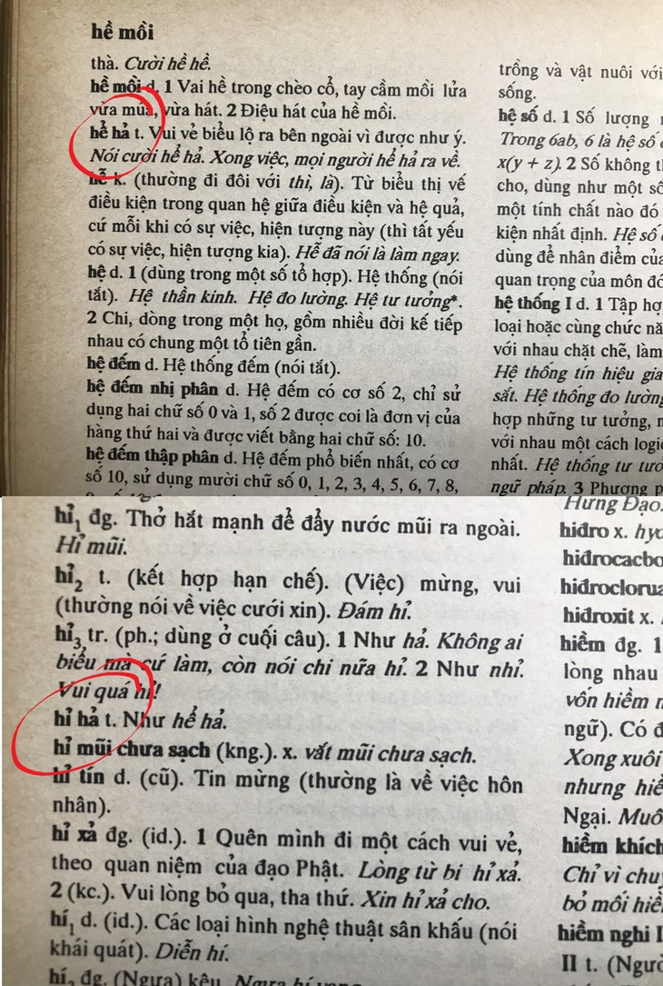 Từ điển tiếng Việt do Hoàng Phê chủ biên, 1998 giải thích về hai từ &quot;hỉ hả&quot; và &quot;hể hả&quot; - Ảnh: ĐẬU DUNG