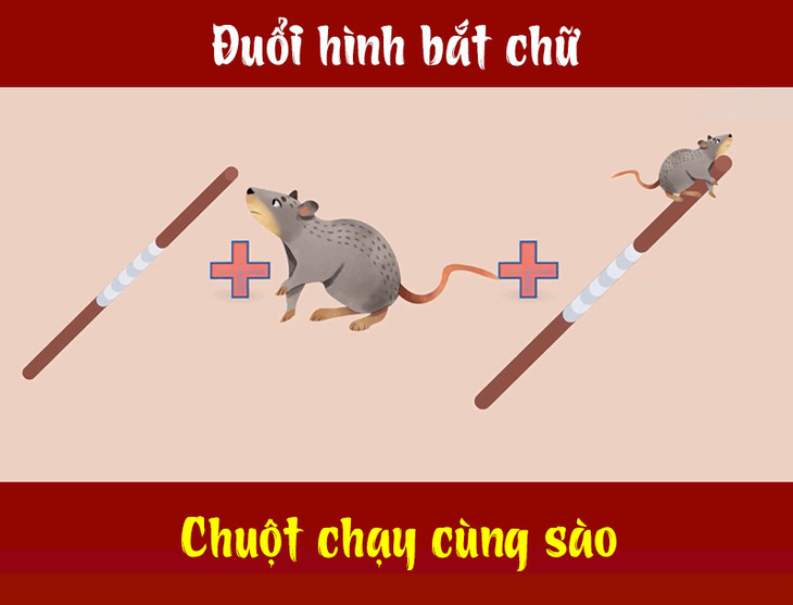 IQ cao có đoán được đây là câu tục ngữ, thành ngữ gì? (P49)- Ảnh 4.