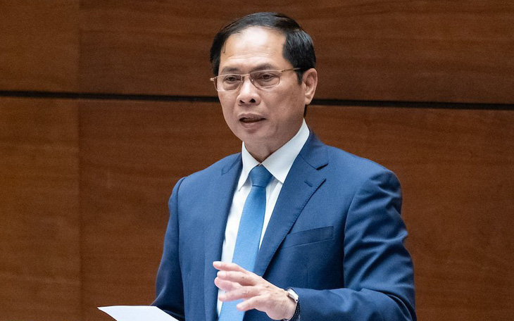 Bộ trưởng Bùi Thanh Sơn: Phải chặt đứt đường dây lừa 
