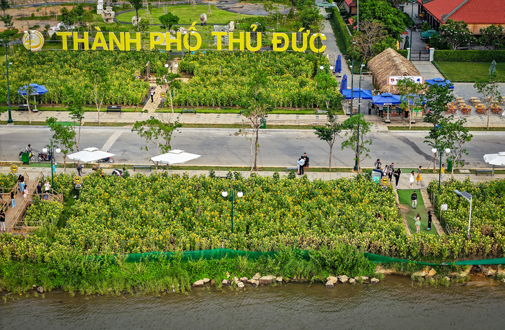Bờ sông Sài Gòn phía Thủ Thiêm thay đổi rực rỡ- Ảnh 12.