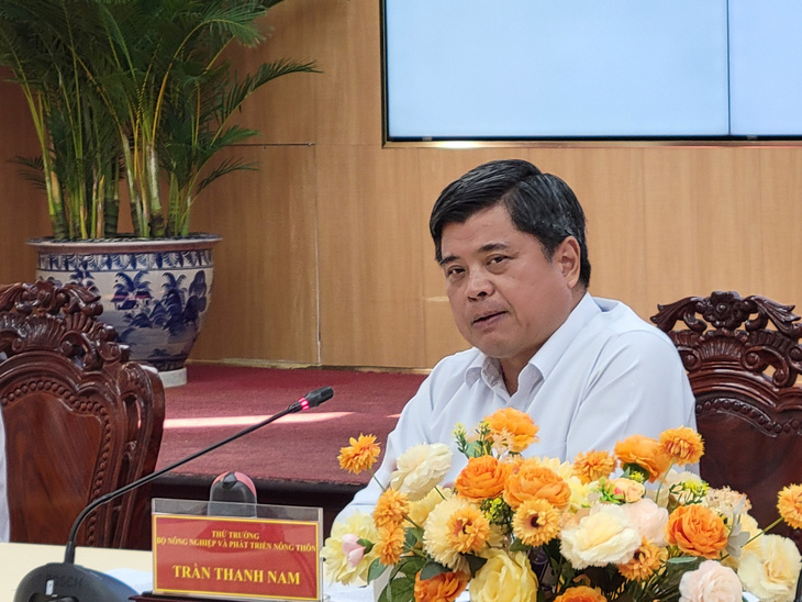 Thứ trưởng Bộ Nông nghiệp và Phát triển nông thôn Trần Thanh Nam cho rằng cần có nghị định về vấn đề xây dựng thương hiệu quốc gia cho nông sản - Ảnh: CHÍ QUỐC 