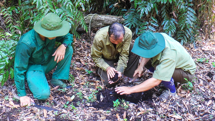 Các cán bộ kiểm lâm Vườn quốc gia U Minh Hạ thường xuyên luồn rừng để bảo vệ và kiểm tra độ ẩm dưới chân rừng để đưa ra cảnh báo phù hợp - Ảnh: THANH HUYỀN