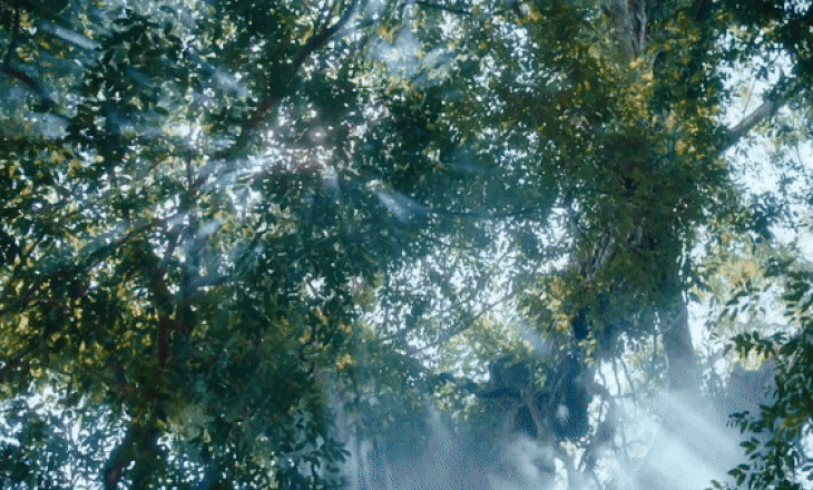 Hình ảnh mát lành trong MV Nhạc của rừng của rapper Đen - Ảnh: Cắt từ clip