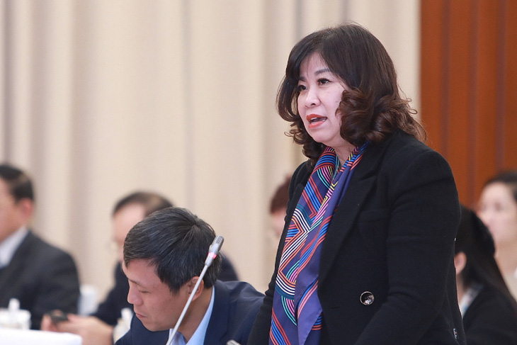 Bà Nguyễn Bích Thu trả lời tại cuộc họp báo - Ảnh: DANH KHANG