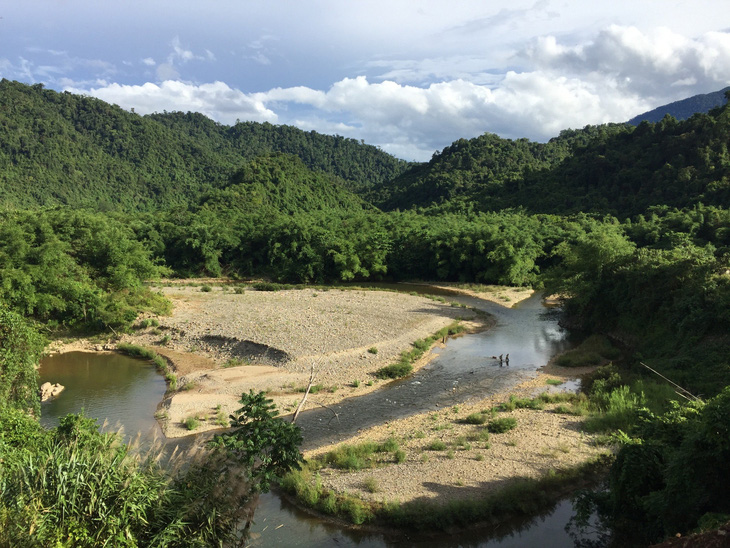 Một góc rừng nguyên sinh ở A Lưới - Thừa Thiên Huế - Ảnh: TRÍ DŨNG