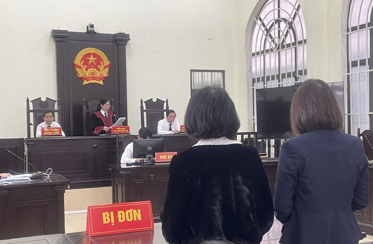 Hội đồng xét xử Tòa án nhân dân TP Từ Sơn đánh giá Vietcombank đã không cảnh báo các thủ đoạn mới của kẻ gian, khiến khách hàng bị mất 11,9 tỉ đồng trong tài khoản - Ảnh: L.THANH
