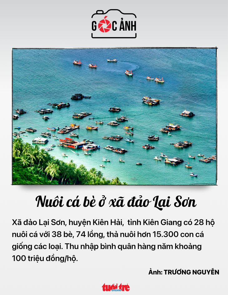 Nuôi cá bè ở xã đảo Lai Sơn - Ảnh: TRƯƠNG NGUYỄN