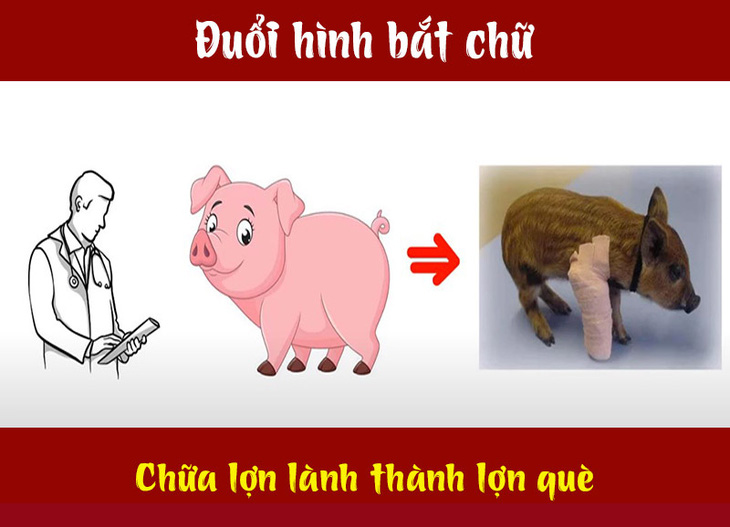 IQ cao có đoán được đây là câu tục ngữ, thành ngữ gì? (P52)- Ảnh 4.