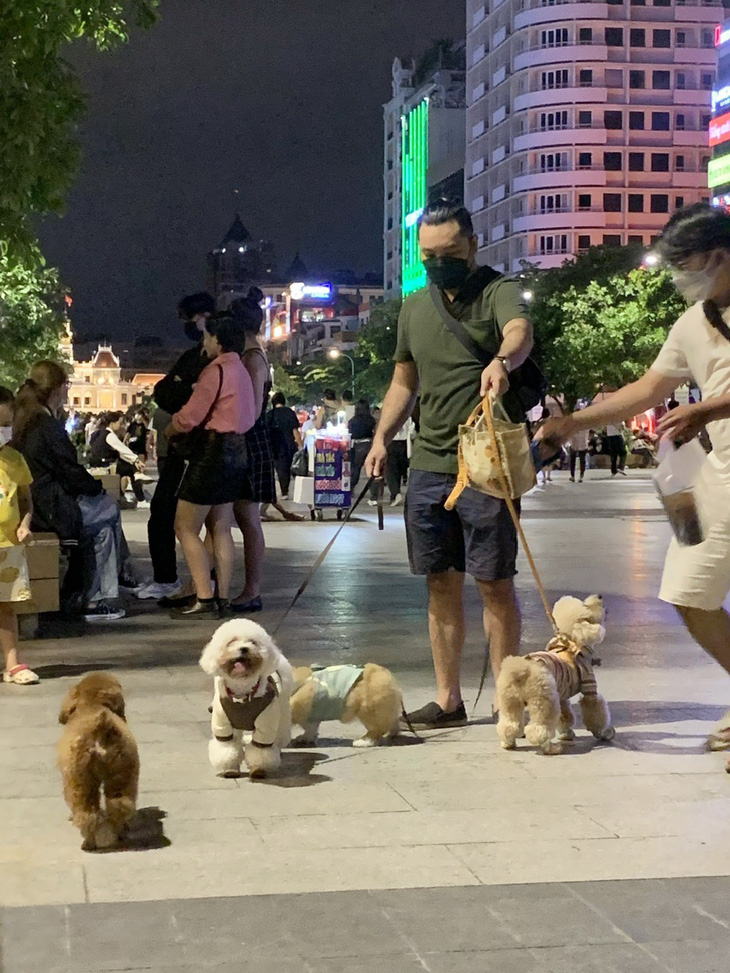 Người nuôi chó dẫn thú cưng đi &quot;giao lưu&quot; ở đường đi bộ Nguyễn Huệ, TP.HCM - Ảnh: T.T.D.