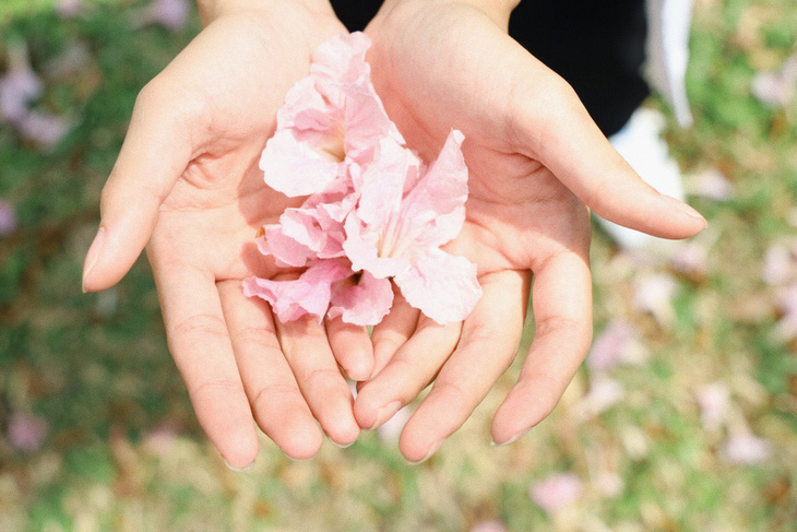 Nhiều bạn trẻ yêu thích sắc tím hồng lãng mạn đặc trưng của hoa kèn hồng - Ảnh: KHẮC HIẾU
