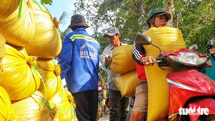 Nhiều người dân phải thuê xe máy chở lúa ra các điểm bán với chi phí đội lên hơn 700.000 đồng/tấn lúa
