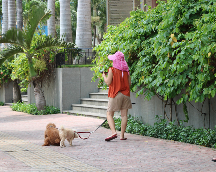 Người dân dắt chó đi dạo trước vỉa hè chung cư The Manor (quận Bình Thạnh) - Ảnh: CẨM NƯƠNG 