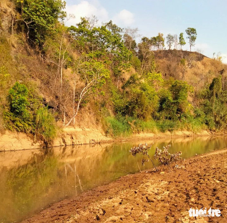 Hiện trường khúc sông Ayun qua xã HNol, huyện Đăk Đoa, Gia Lai, nơi 3 trẻ chăn bò đuối nước tử vong - Ảnh: T.P. 