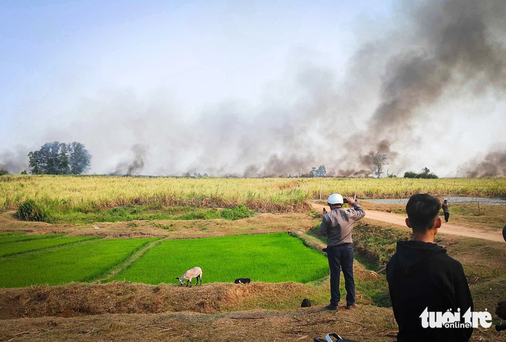 Cánh đồng trồng mía bị cháy nghi ngút tại xã Kông Lơng Khơng, huyện Kbang (Gia Lai) - Ảnh: T.N. 