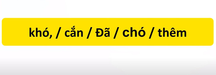 Thử tài tiếng Việt: Sắp xếp các từ sau thành câu có nghĩa (P44)- Ảnh 3.
