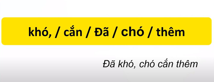 Thử tài tiếng Việt: Sắp xếp các từ sau thành câu có nghĩa (P44)- Ảnh 4.