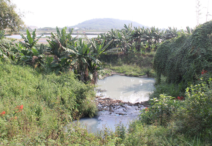 Ngày ngày, sông Trà Khúc bị đầu độc bởi nguồn nước thải sinh hoạt từ TP Quảng Ngãi xả ra - Ảnh: TRẦN MAI
