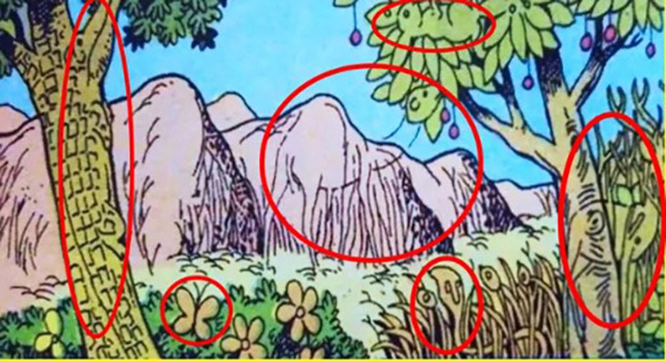 Mắt 10/10 có thấy 6 con vật ẩn giấu trong tranh- Ảnh 2.