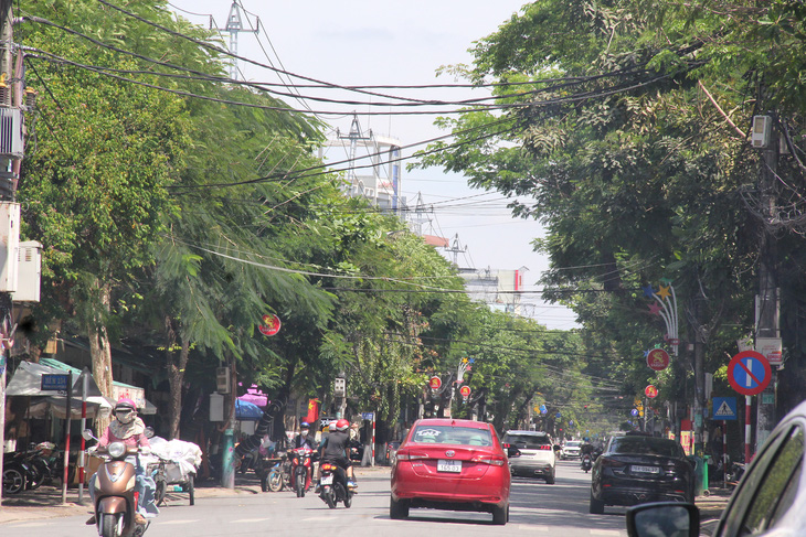Đường Phan Đình Phùng, cây phía có đường dây bị phạt ngọn, còn cây bên kia xanh mát