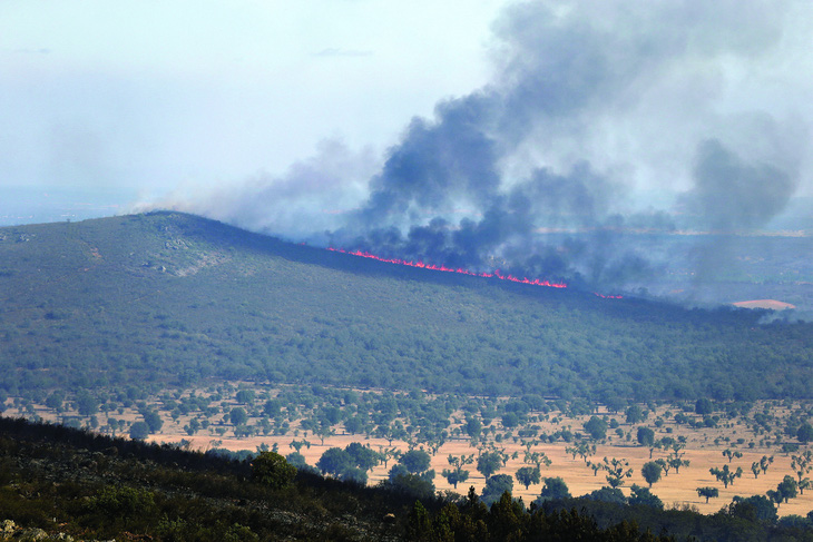 Cháy rừng trong đợt nắng nóng ở Tây Ban Nha tháng 7-2022. Ảnh: Reuters