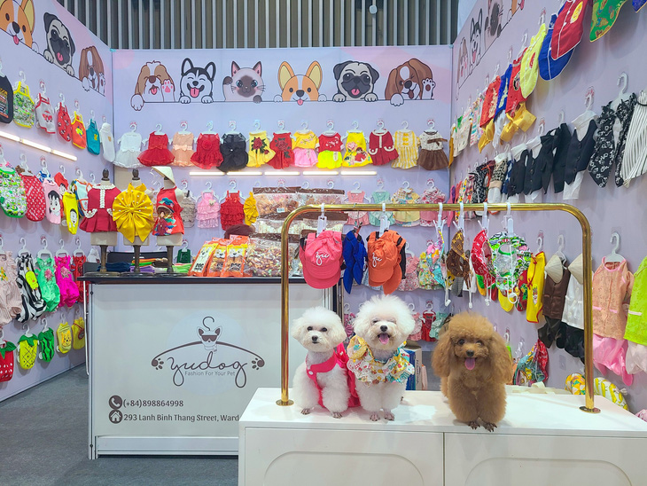 3 mẫu chó chuyên nghiệp trình diễn những bộ cánh thời thượng tại gian hàng thời trang cho chó ở Petfair Vietnam 2024 - Ảnh: NHẬT XUÂN