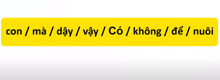 Thử tài tiếng Việt: Sắp xếp các từ sau thành câu có nghĩa (P47)- Ảnh 1.