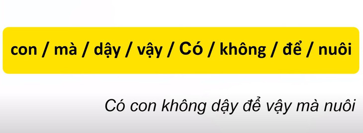 Thử tài tiếng Việt: Sắp xếp các từ sau thành câu có nghĩa (P47)- Ảnh 2.