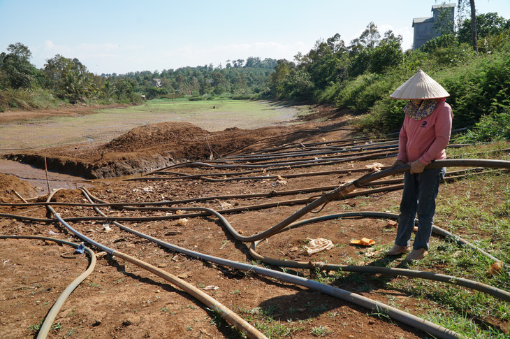 Vợ ông Đinh Phú Hải, ở thị trấn Đắk Mil, huyện Đắk Mil đang nối ống nước xuống khu vực trũng nhất của hồ Đắk Ken trơ đáy - Ảnh: ĐỨC LẬP