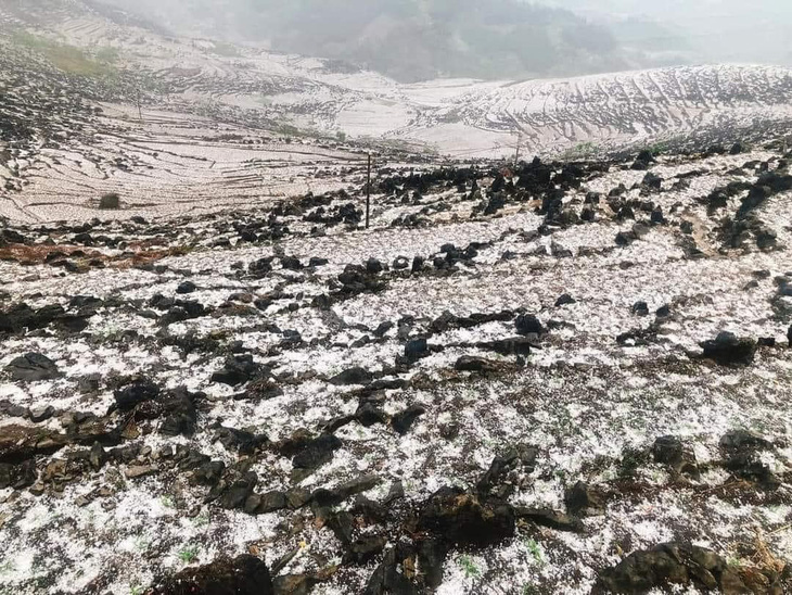 Đá phủ trắng núi đồi Hà Giang sau trận mưa đá - Ảnh: H.GIANG
