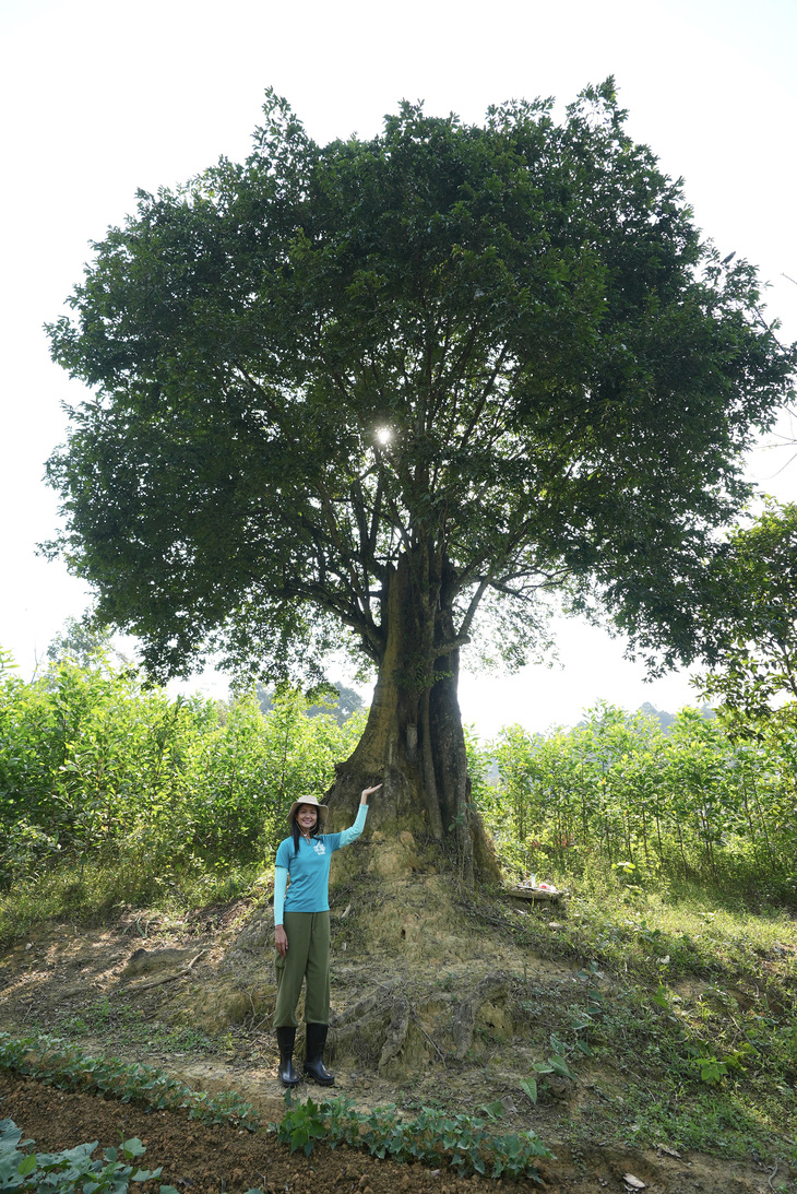 H'Hen Niê bên cây lim ngàn năm tuổi - Ảnh: NVCC