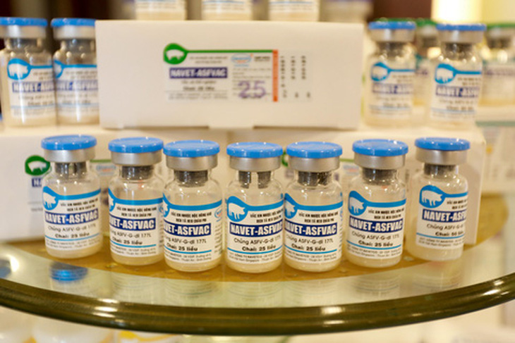 Vắc xin phòng dịch tả heo châu Phi do Công ty Navetco sản xuất - Ảnh: CHÍ TUỆ
