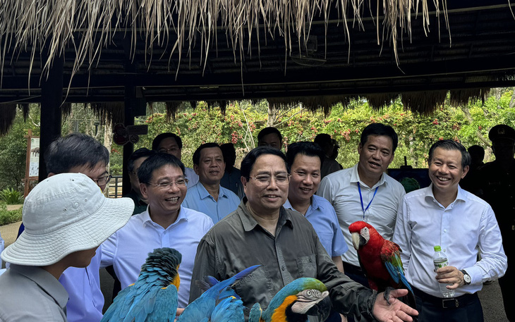 Thủ tướng: Cần phát huy tài sản rừng và quy hoạch lại Bệnh viện Phú Quốc