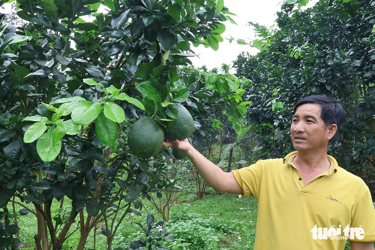 Anh Nguyễn Ngọc Thu, cán bộ Tổng đội Thanh niên xung phong Quảng Nam suốt 8 năm qua ở một mình trên làng, hỗ trợ kỹ thuật trồng trọt, chăn nuôi cho những hộ thanh niên trẻ phát triển kinh tế - Ảnh: LÊ TRUNG