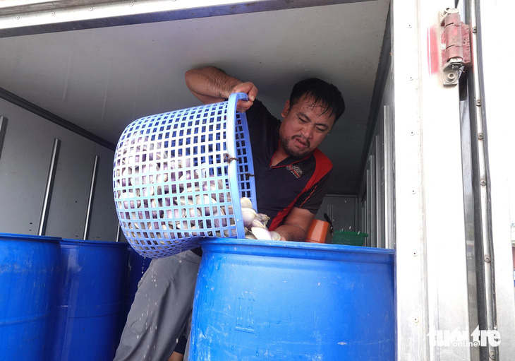 Từ đầu năm đến nay sản lượng hải sản ngư dân xã Thạch Kim đánh bắt được là 187 tấn với giá trị 15,3 tỉ đồng, trong đó chỉ riêng trong tháng 2-2024 sản lượng đánh bắt được đạt 115 tấn với giá trị hơn 9,8 tỉ đồng 
