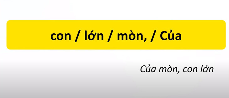 Thử tài tiếng Việt: Sắp xếp các từ sau thành câu có nghĩa (P22)- Ảnh 2.