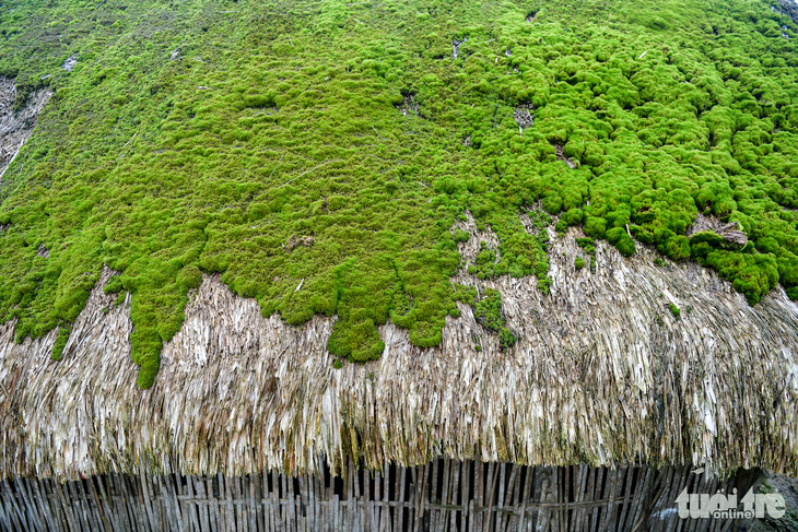 Độc đáo mái nhà sàn hàng chục năm tuổi phủ kín rêu- Ảnh 4.