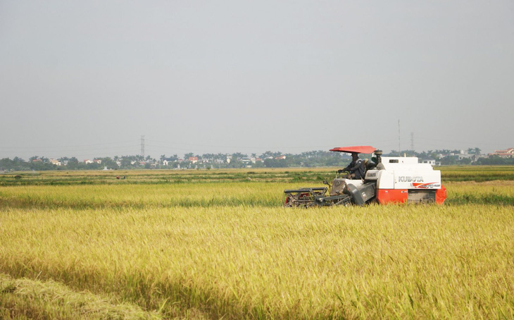 Tỉnh Thái Bình xác định sản xuất nông nghiệp vẫn là trụ đỡ chính trong phát triển kinh tế địa phương - Ảnh: T.THẮNG
